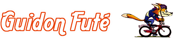 Guidon Futé
